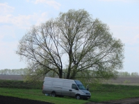 P632TT 36 RUS, IVECO Daily