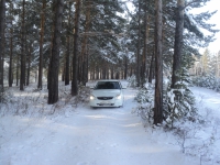 M605EK 124 RUS