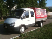 E934OK 174 RUS, ГАЗ ГАЗЕЛЬ