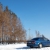 E811CY 36 RUS
