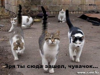 Олег