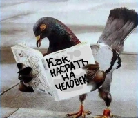 Sergey S