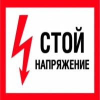 Сидоров Антон
