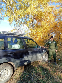 Анатолий ШНИВОВОД