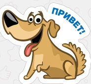 Боря Басин
