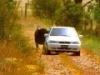 Реклама Daewoo Nexia 3